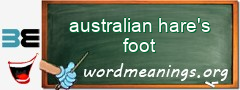 WordMeaning blackboard for australian hare's foot